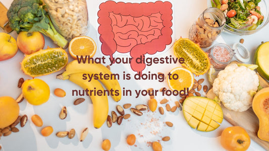 How your digestion is processing nutrients in your food? - Artinci