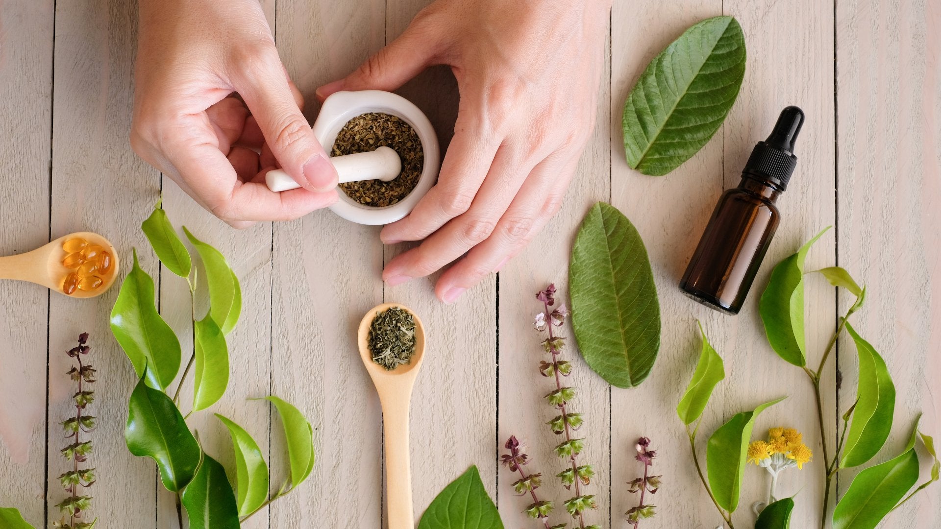 Stevia &The Science Behind Sugar-free Sweeteners – Artinci